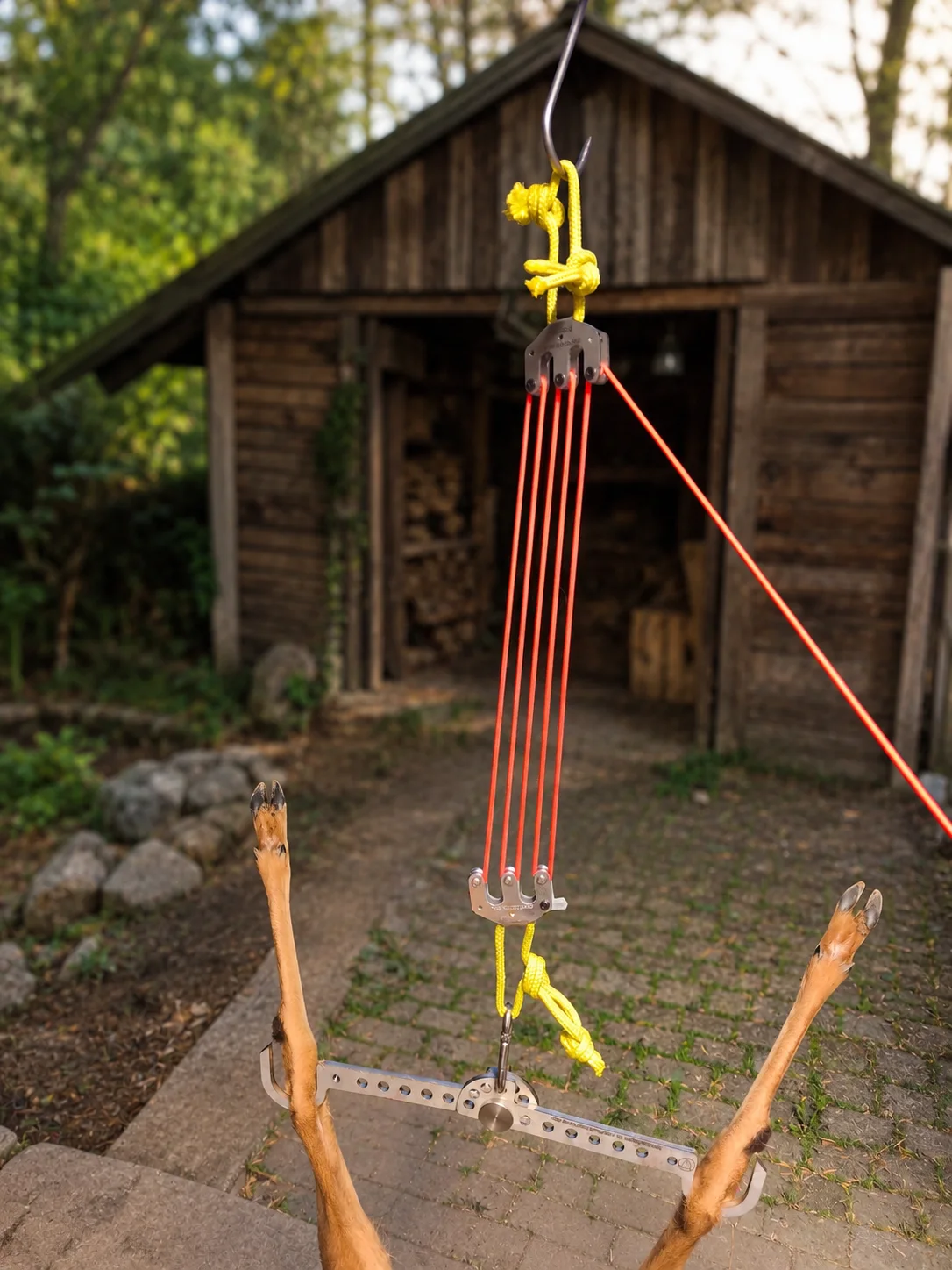 Waidgalgen with pulley system for dressing a roe deer